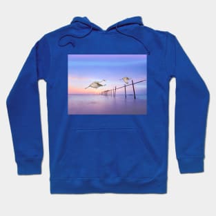 Sandhill Crane Birds in Flight Hoodie